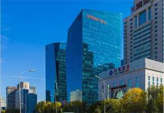 张店区小区绿化草坪养护公司